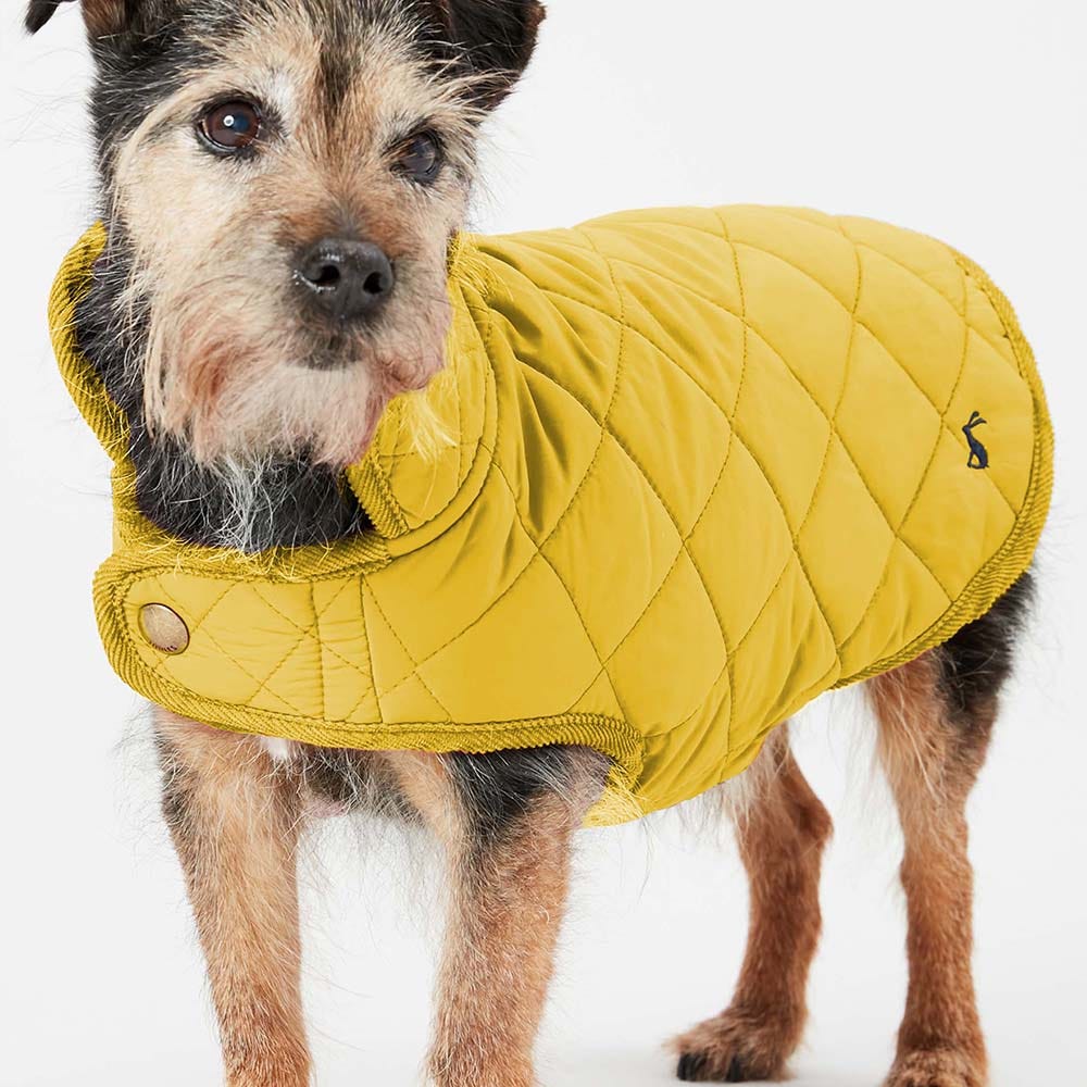 Joules Quilted Dog Coat image 10