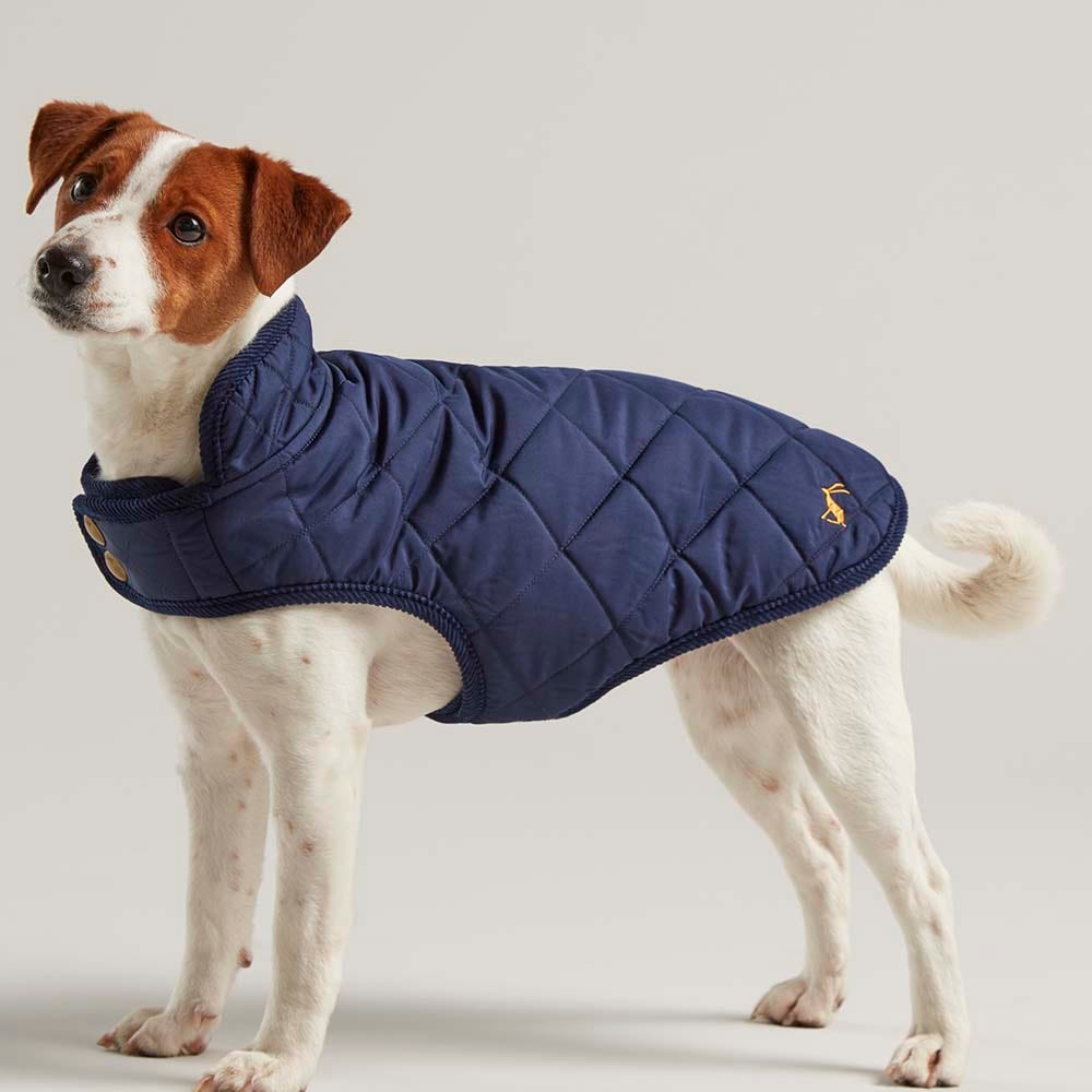 Joules Quilted Dog Coat image 12