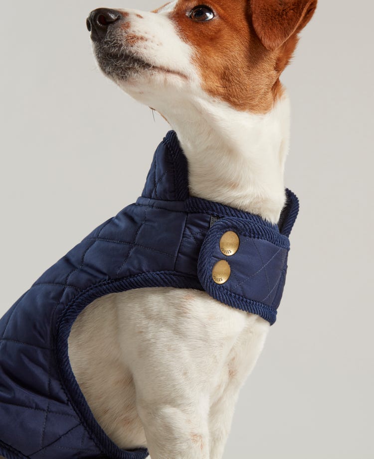 Joules Quilted Dog Coat image 14