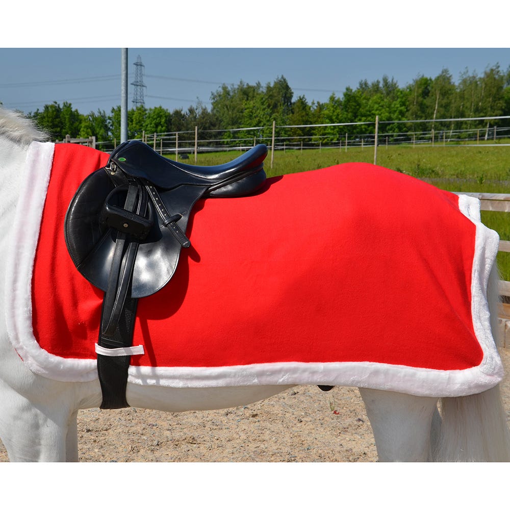 Hy Equestrian Christmas Santa Exercise Sheet image 1