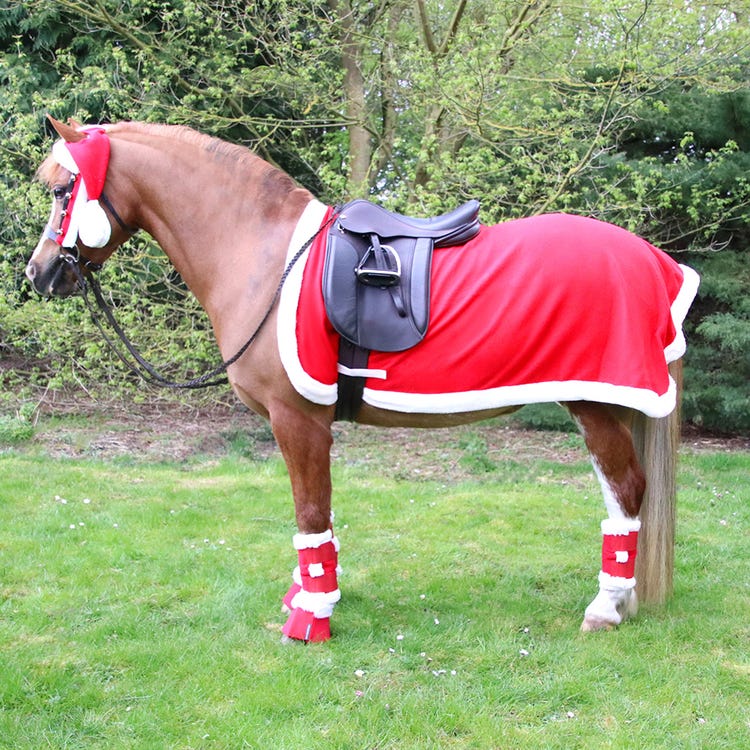 Hy Equestrian Christmas Santa Exercise Sheet image 2