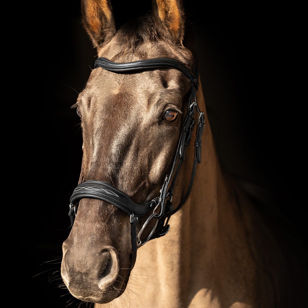 ProPresicce Pelle Drop Leather Bridle by Hy Equestrian image 4
