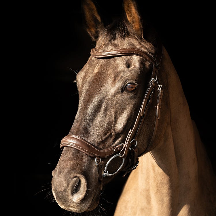 ProPresicce Pelle Drop Leather Bridle by Hy Equestrian image 5