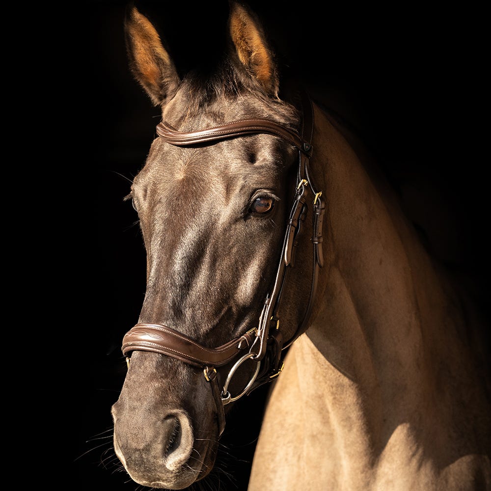 ProPresicce Pelle Drop Leather Bridle by Hy Equestrian image 6