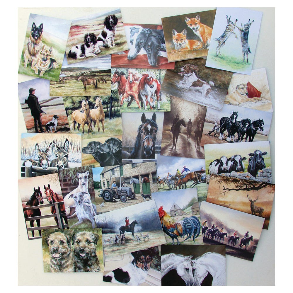 Caroline Cook Equestrian &amp; Countryside Cards image 1