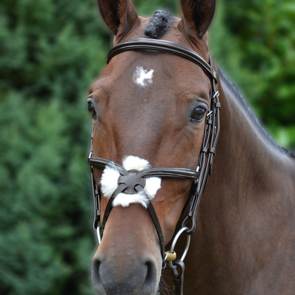 Hy Equestrian Mexican Bridle with Rubber Grip Reins image 3