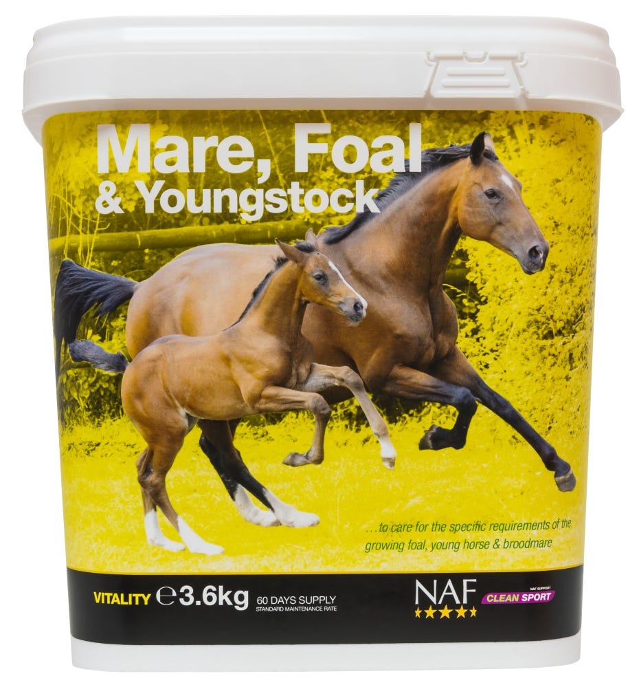 NAF Mare, Foal &amp; Youngstock image 2