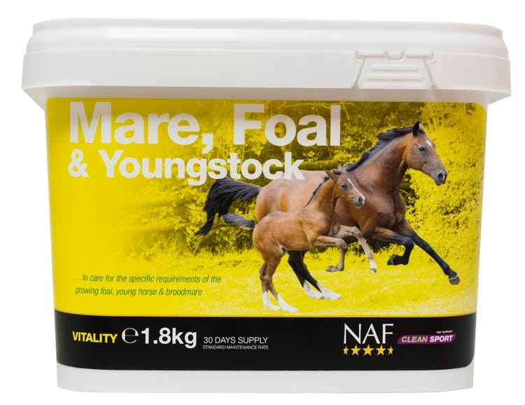 NAF Mare, Foal &amp; Youngstock image 1