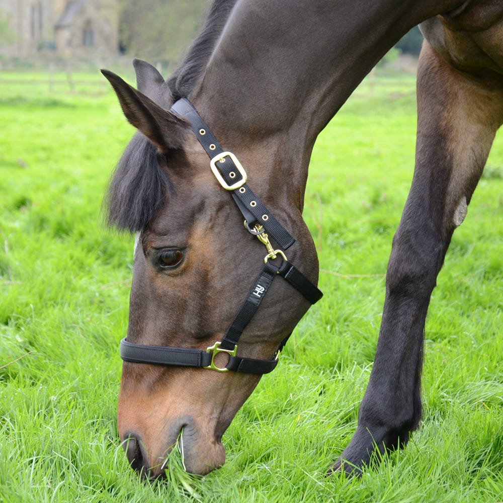 Hy Equestrian Fieldsafe Head Collar image 1