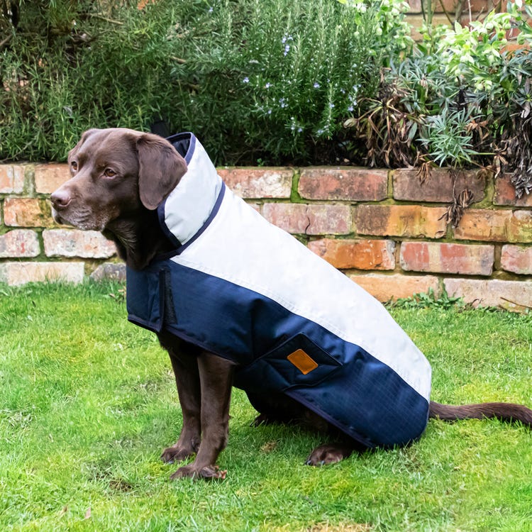 Benji &amp; Flo Waterproof Dog Coat image 2