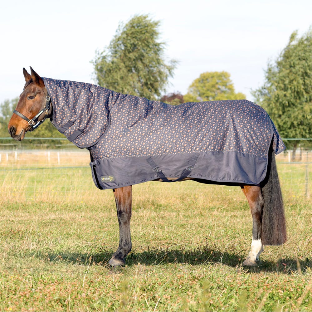StormX Original Country 200 Combi Turnout Rug image 1