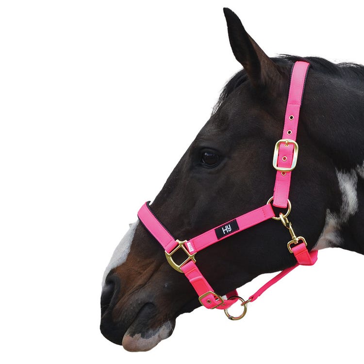 Hy Equestrian Grand Prix Head Collar image 1