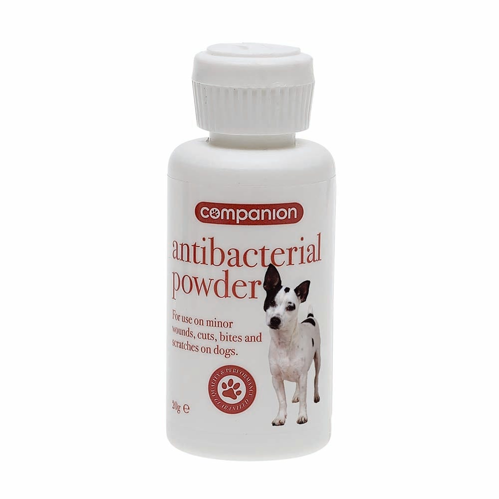 Companion Antibacterial Powder image 1