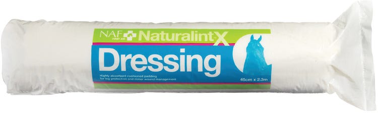 NAF NaturalintX Dressing  image 1