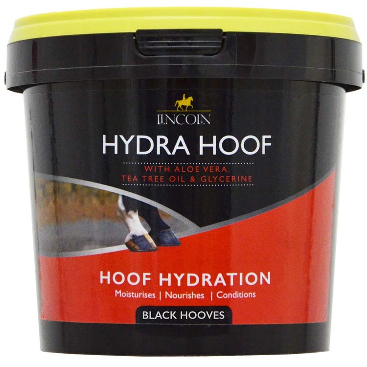 Lincoln Hydra Hoof image 1