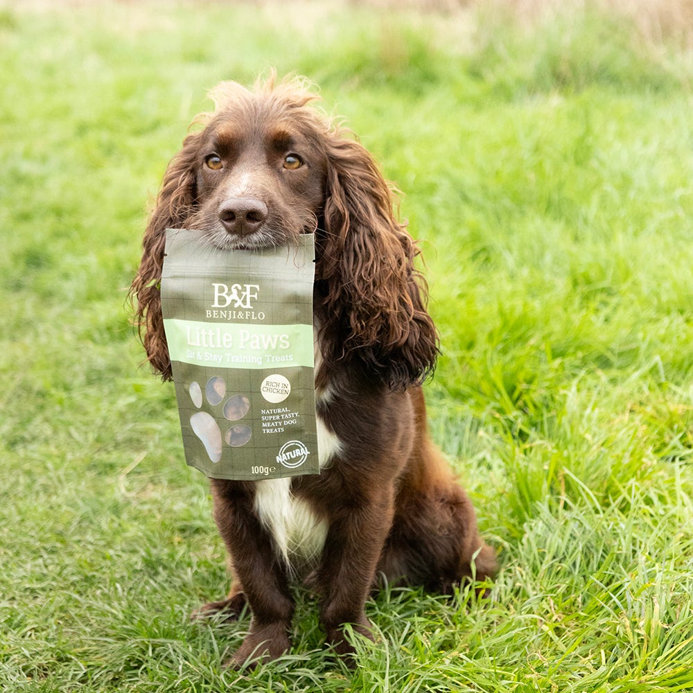 Benji &amp; Flo Little Paws Sit &amp; Stay Training Treats image 4