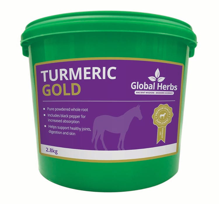 Global Herbs Turmeric Gold image 2