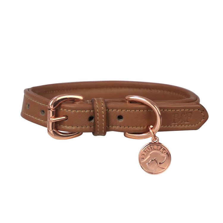 Benji &amp; Flo Deluxe Padded Leather Dog Collar image 3