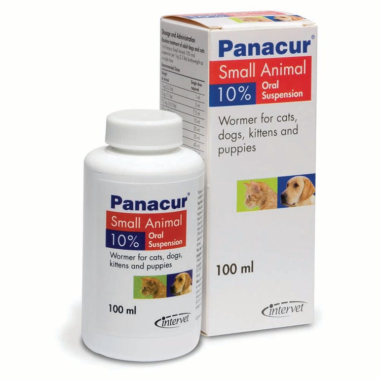 Panacur Liquid Wormer for Dogs &amp; Cats - 10% suspension image 1