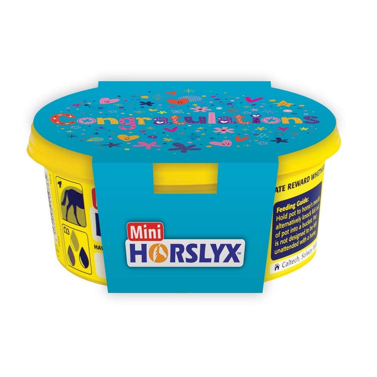 Horslyx Mini Gift Sleeve image 3