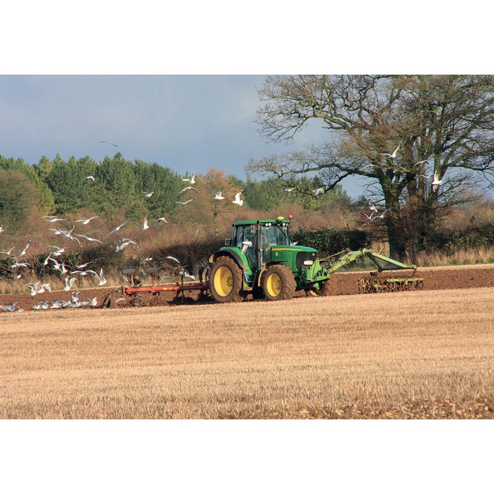 Kevin Milner Countryside Cards image 9