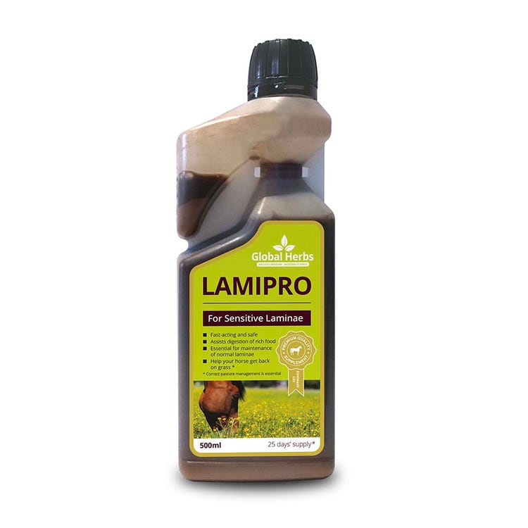 Global Herbs LamiPro Liquid image 1