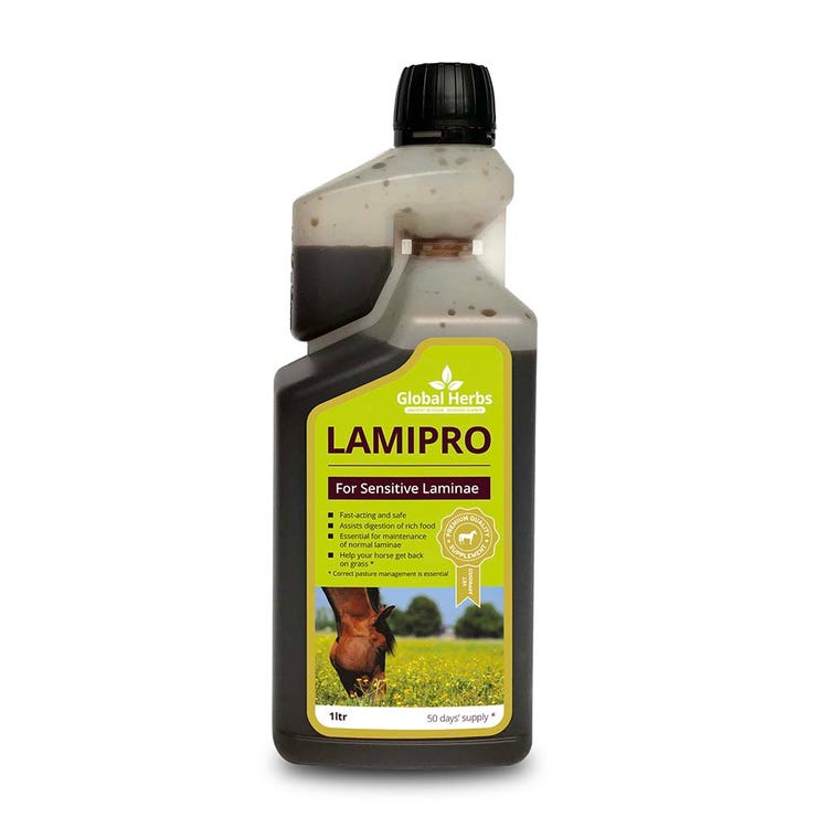 Global Herbs LamiPro Liquid image 2