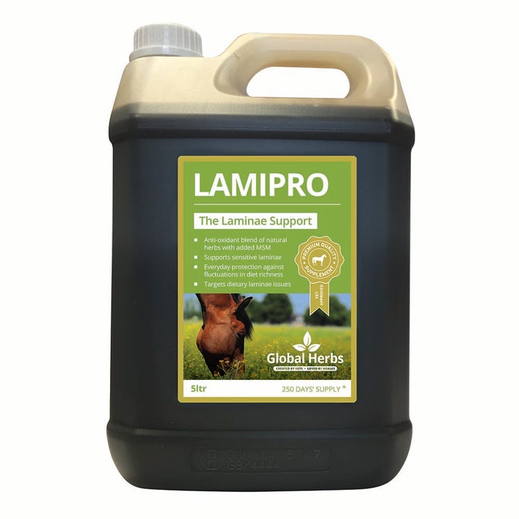 Global Herbs LamiPro Liquid image 3