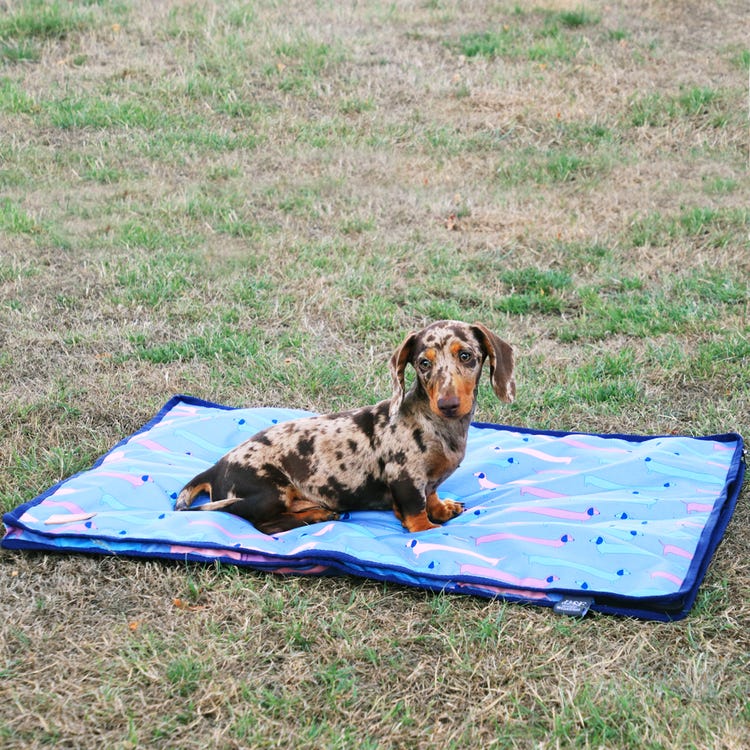 Benji &amp; Flo Dorris The Dachshund Dog Bed image 4