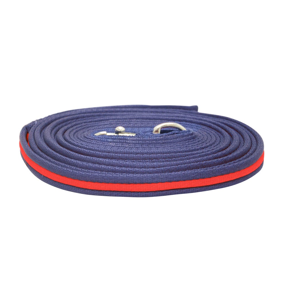 Hy Equestrian Soft Webbing Lunge Rein image 1