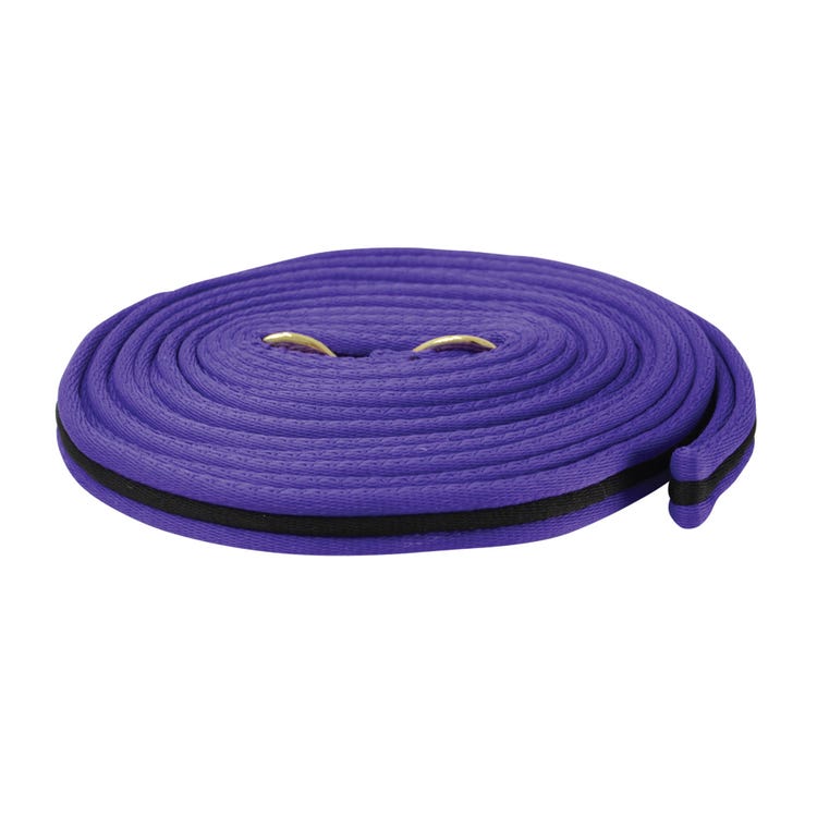 Hy Equestrian Soft Webbing Lunge Rein image 2