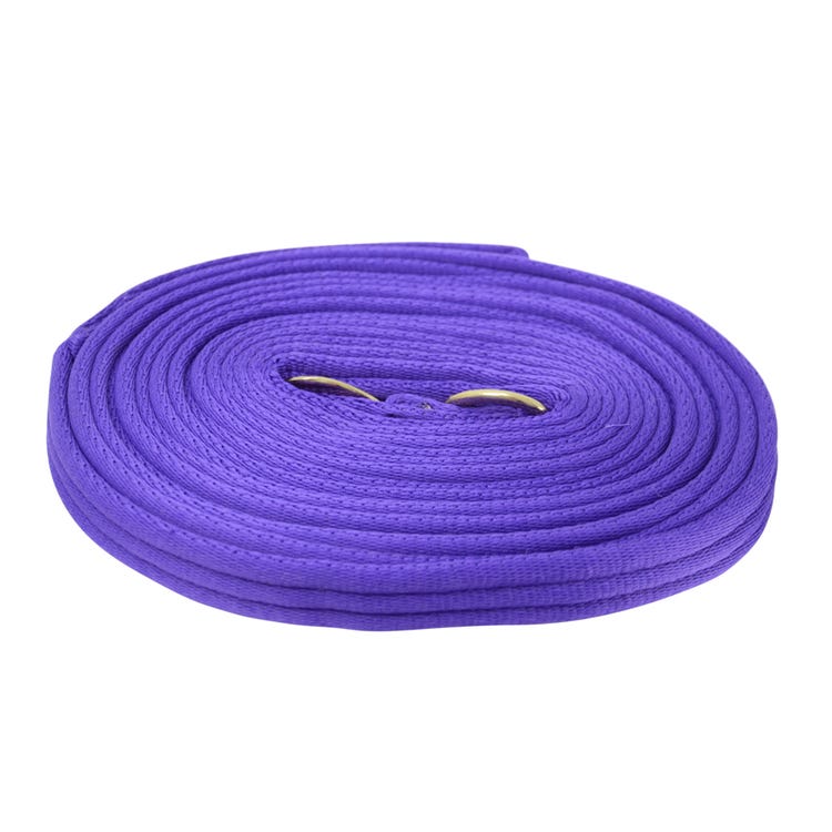 Hy Equestrian Soft Webbing Lunge Rein image 6