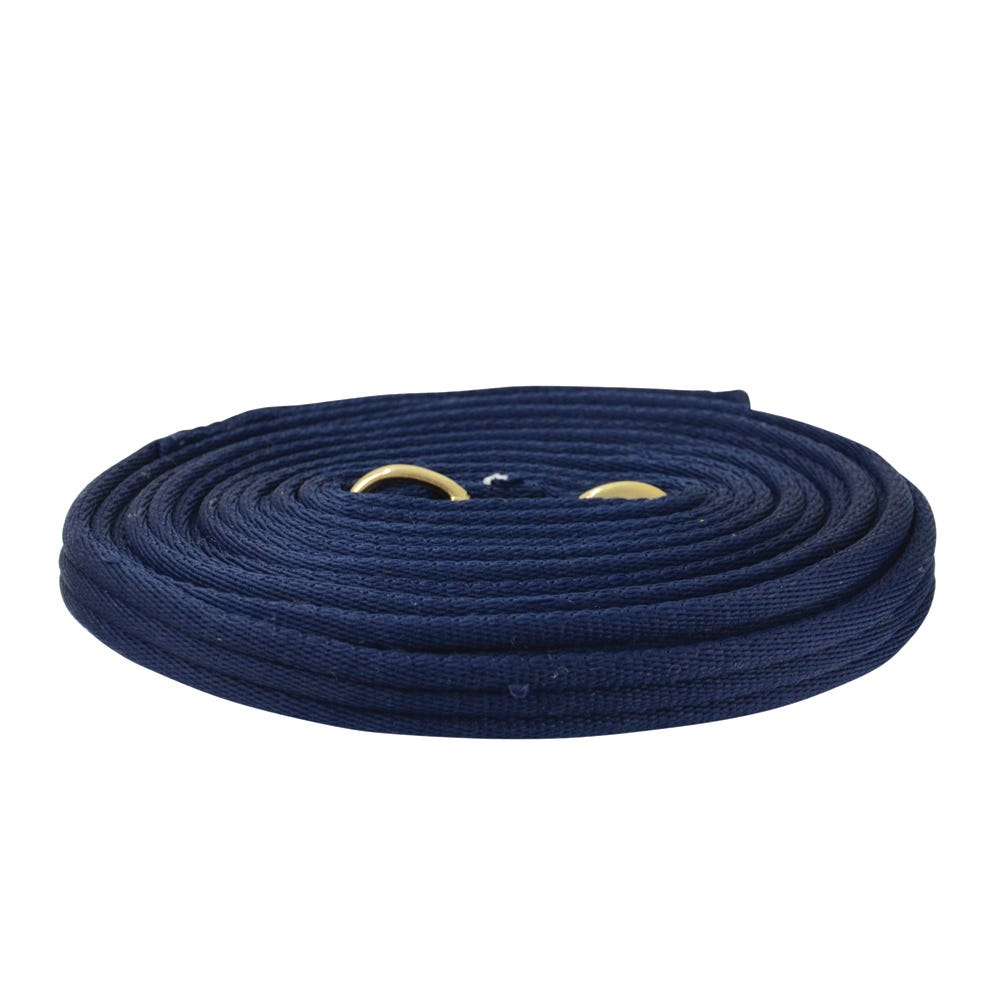 Hy Equestrian Soft Webbing Lunge Rein image 7