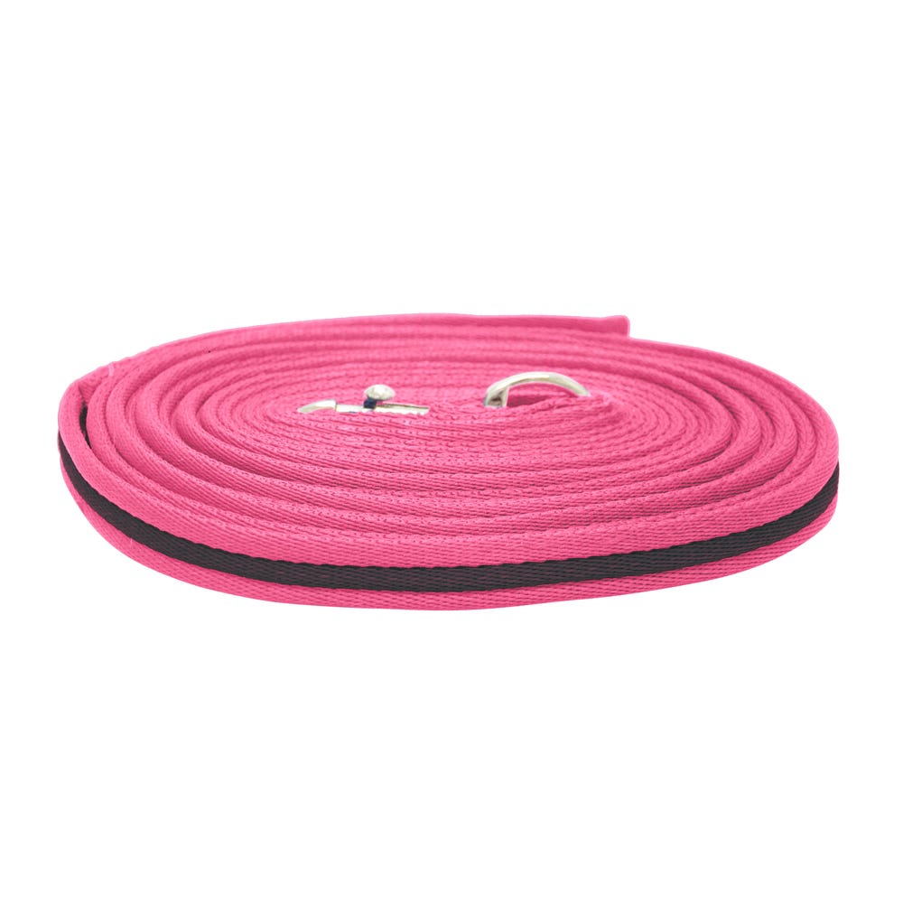 Hy Equestrian Soft Webbing Lunge Rein image 9