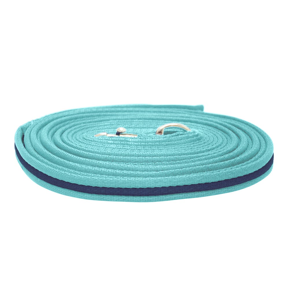 Hy Equestrian Soft Webbing Lunge Rein image 12