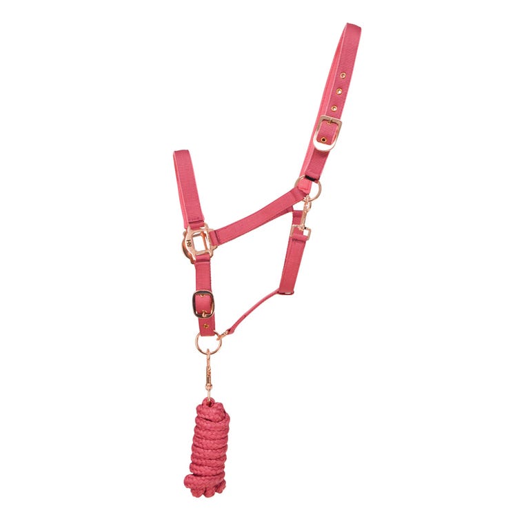 Hy Equestrian Rose Gold Head Collar &amp; Lead Rope image 1