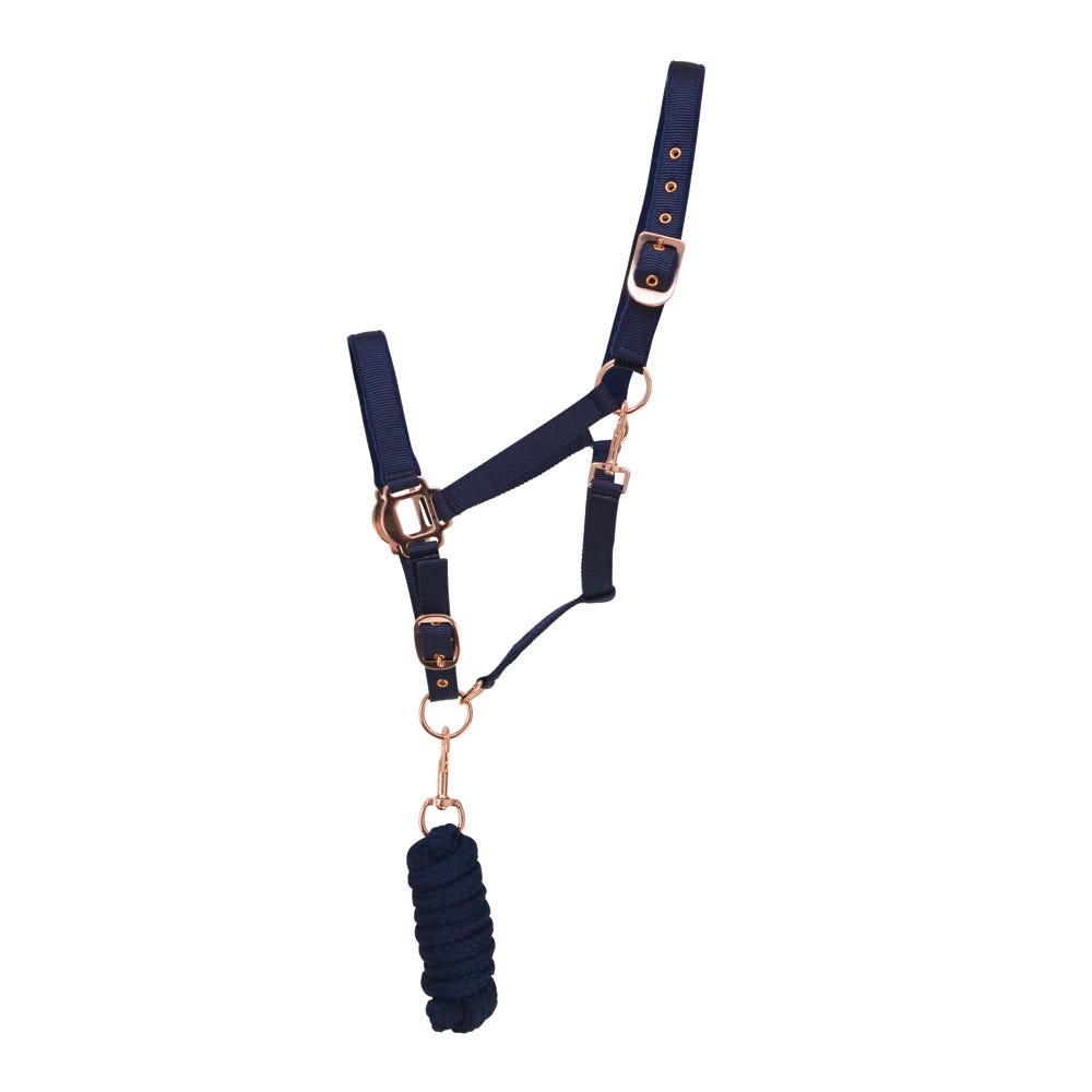 Hy Equestrian Rose Gold Head Collar &amp; Lead Rope image 6