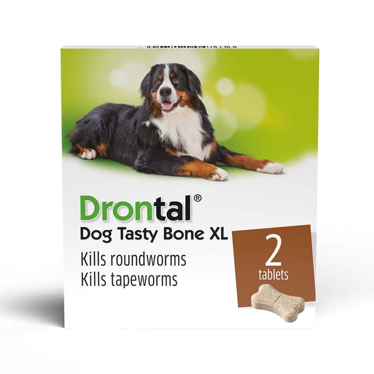 Drontal Dog Tasty Bone XL image 1