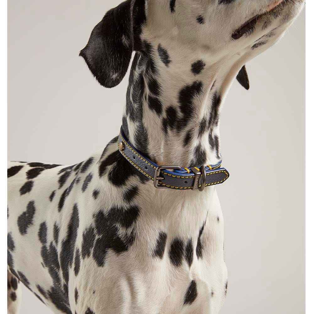 Joules Leather Dog Collar image 3