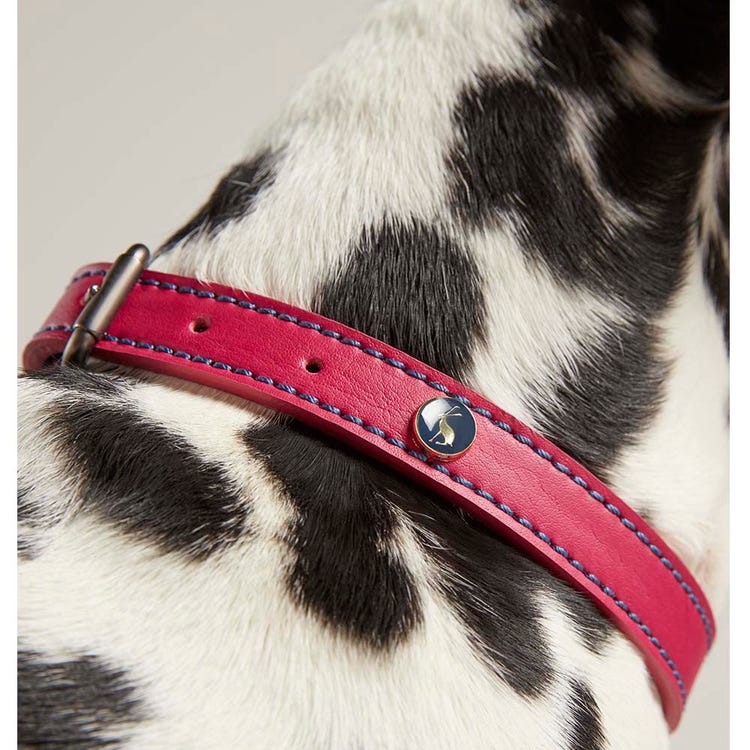 Joules Leather Dog Collar image 4