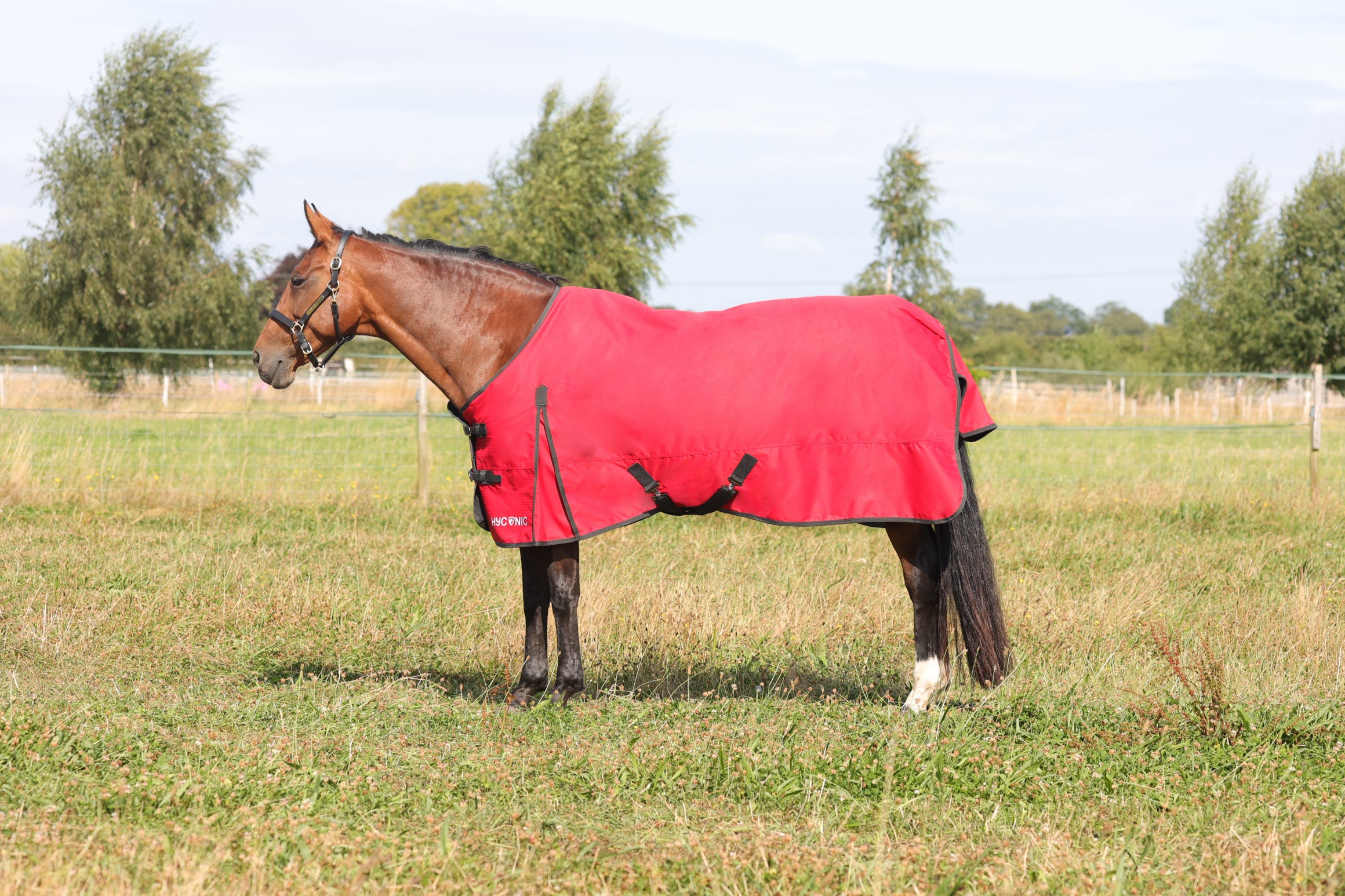 HyCONIC 200g Turnout Rug image 1