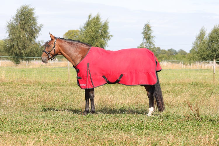 HyCONIC 200g Turnout Rug image 1