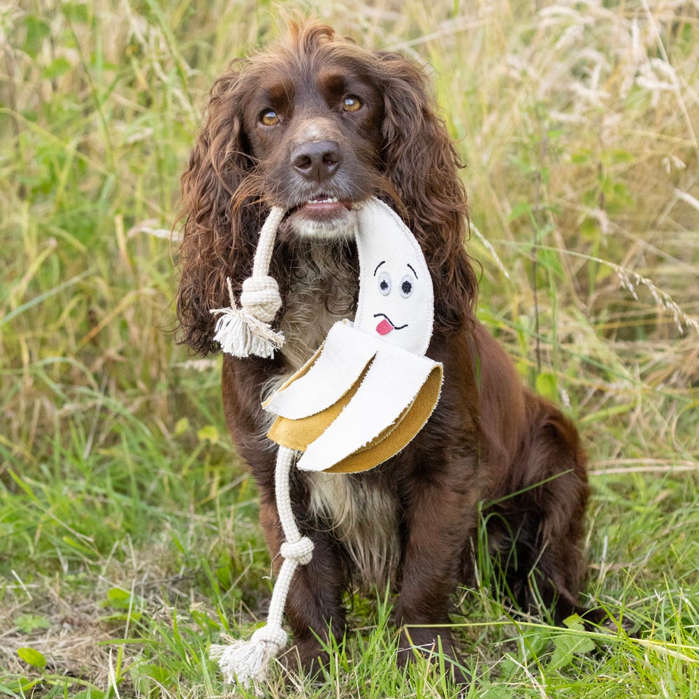 Benji &amp; Flo Play with Me! Dog Toys - Go Bananas image 2