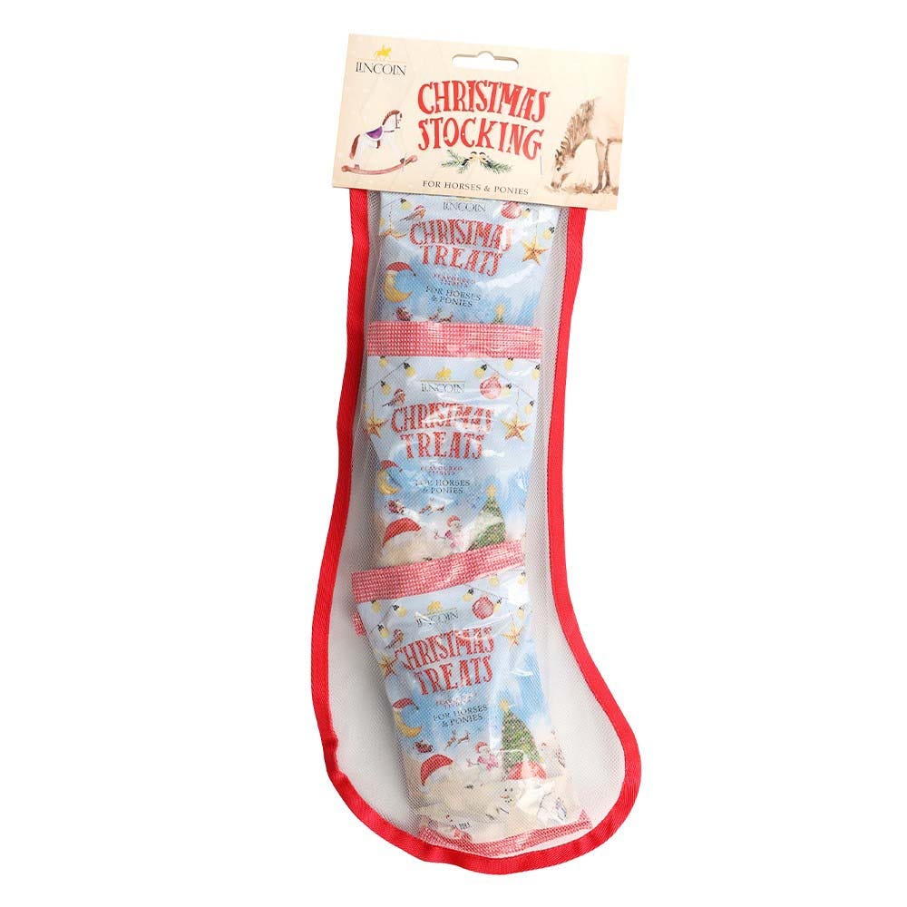 Lincoln Christmas Stocking image 1