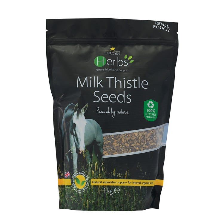 Lincoln Herbs Milk Thistle Seeds image 3