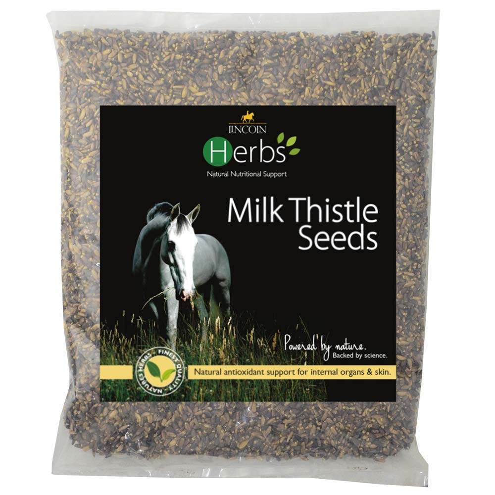 Lincoln Herbs Milk Thistle Seeds image 2