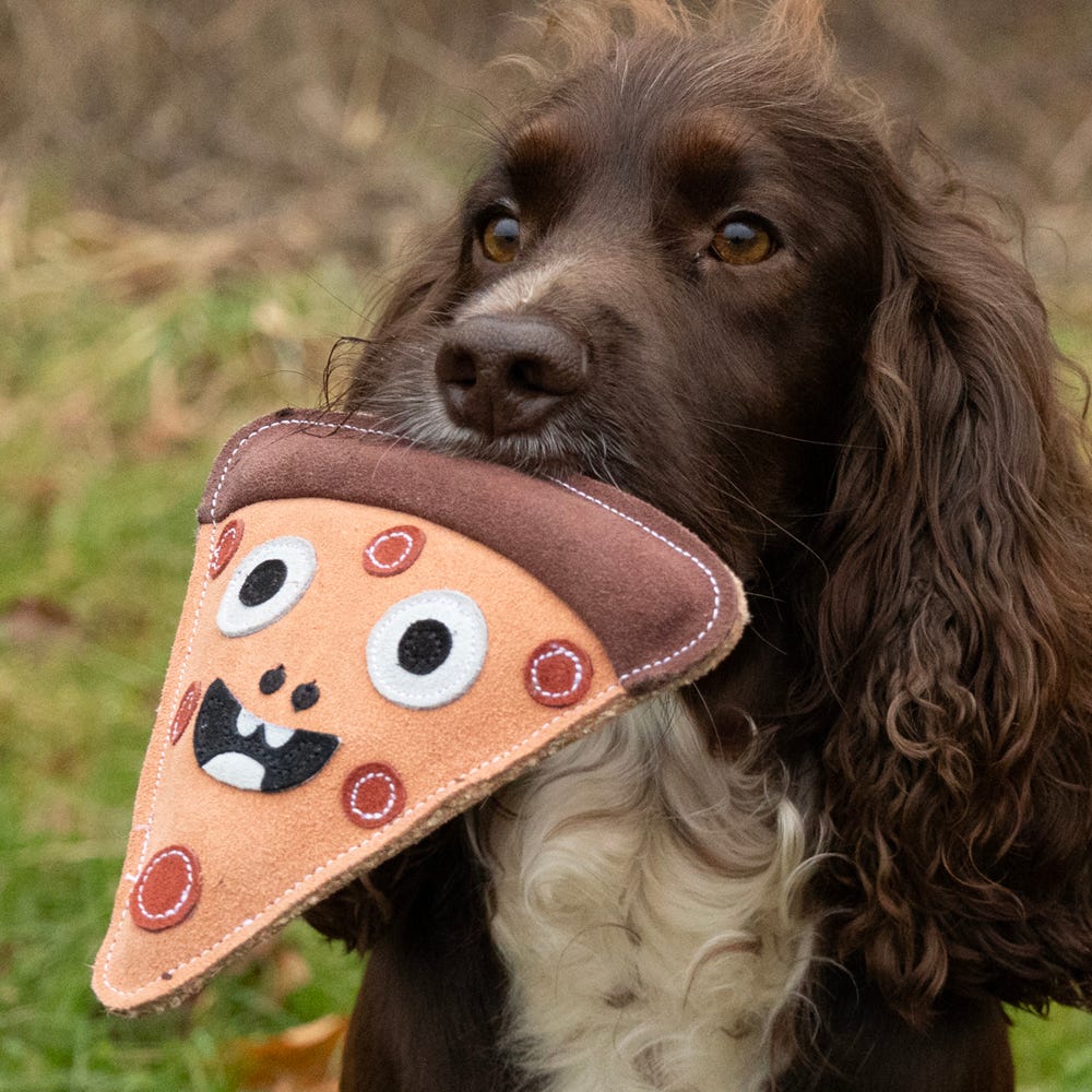 Benji &amp; Flo Crazy Faces Dog Toys - Pawperoni Pizza image 2