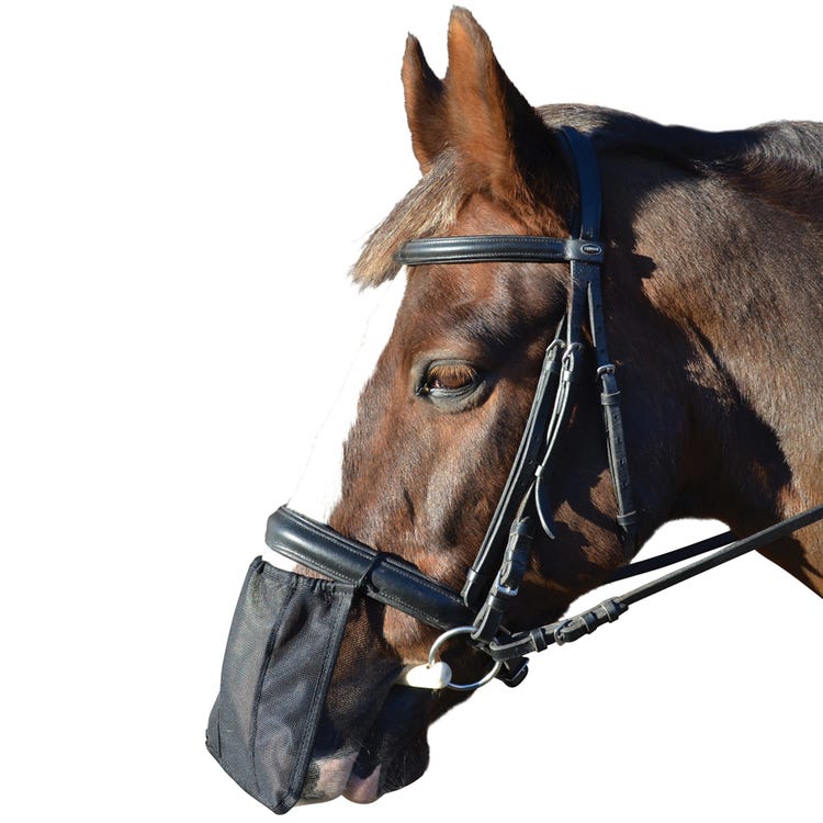 Hy Equestrian Nose Shield image 1