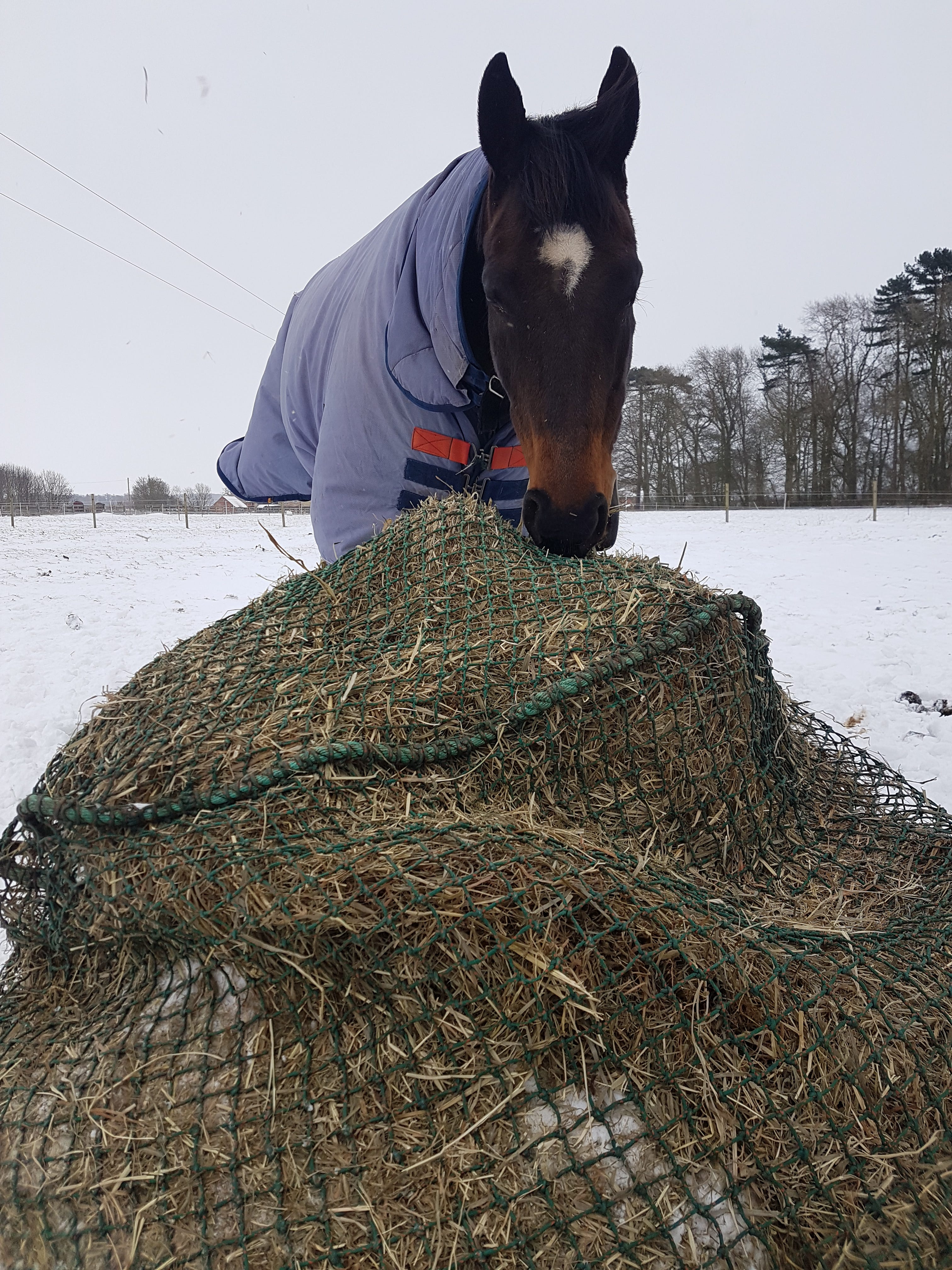 Trickle Net Round Bale Net image 3