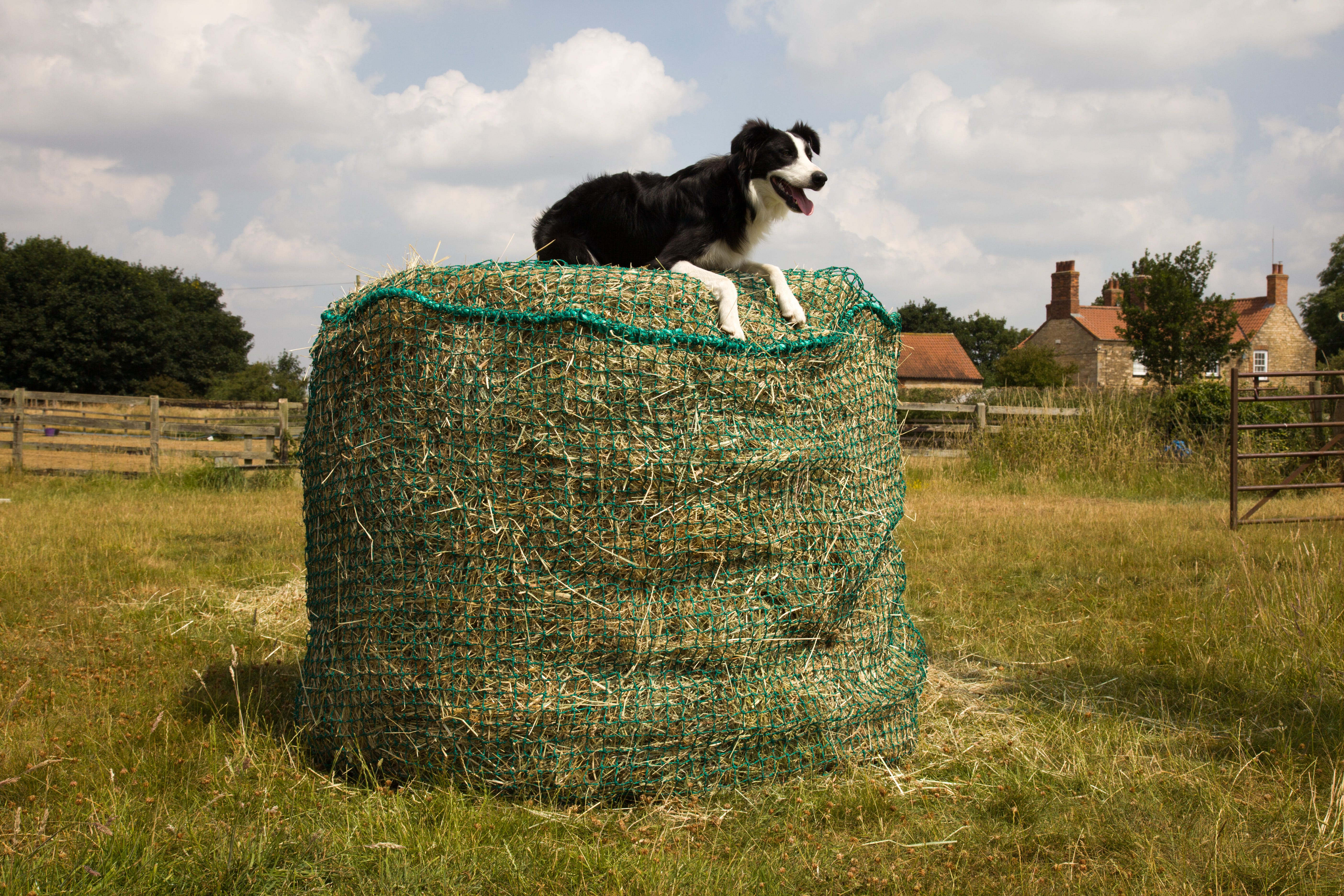 Trickle Net Round Bale Net image 4